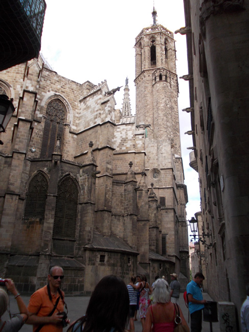 DSCN3676