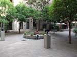 DSCN3683