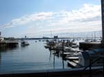 Photo 046
