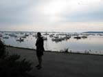 Photo 072